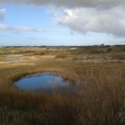 Omgeving haarlem, bloemendaal en overveen